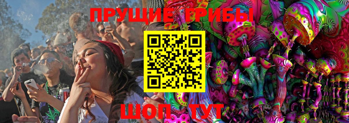 Псилоцибиновые грибы Cubensis Верхняя Пышма