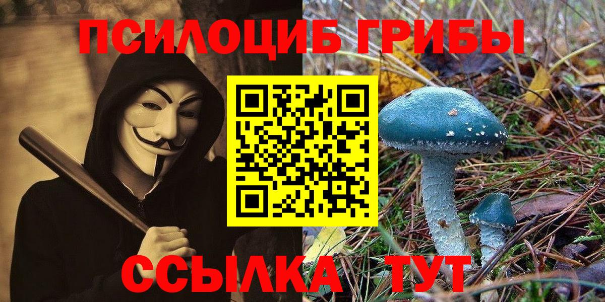 Псилоцибиновые грибы мухоморы Верхняя Пышма
